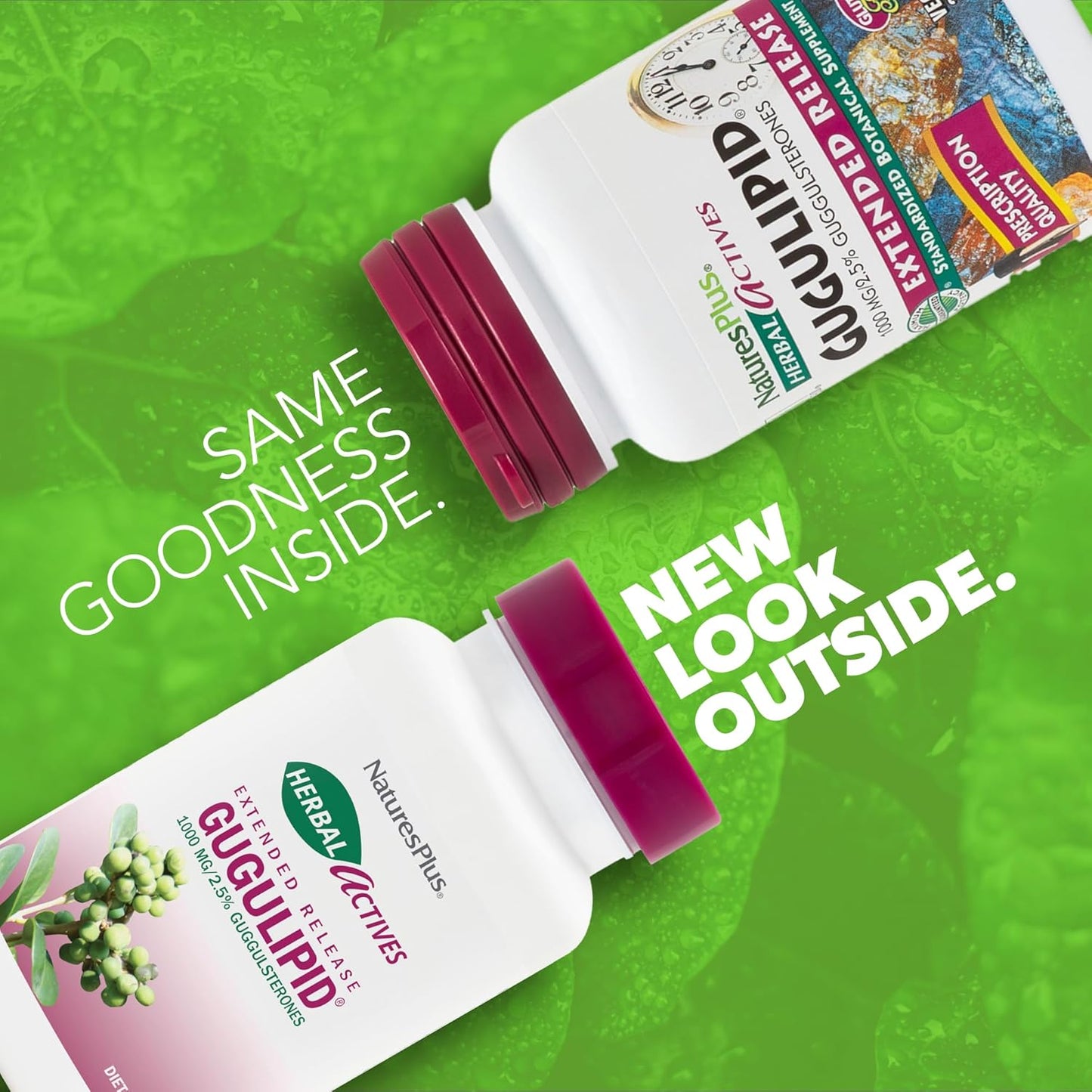 Natures Plus Herbal Actives Gugulipid Extended Release Tablets - 1000mg, 2.5% Guggulsterones - Vegan Ayurvedic Supplement - Gluten-Free