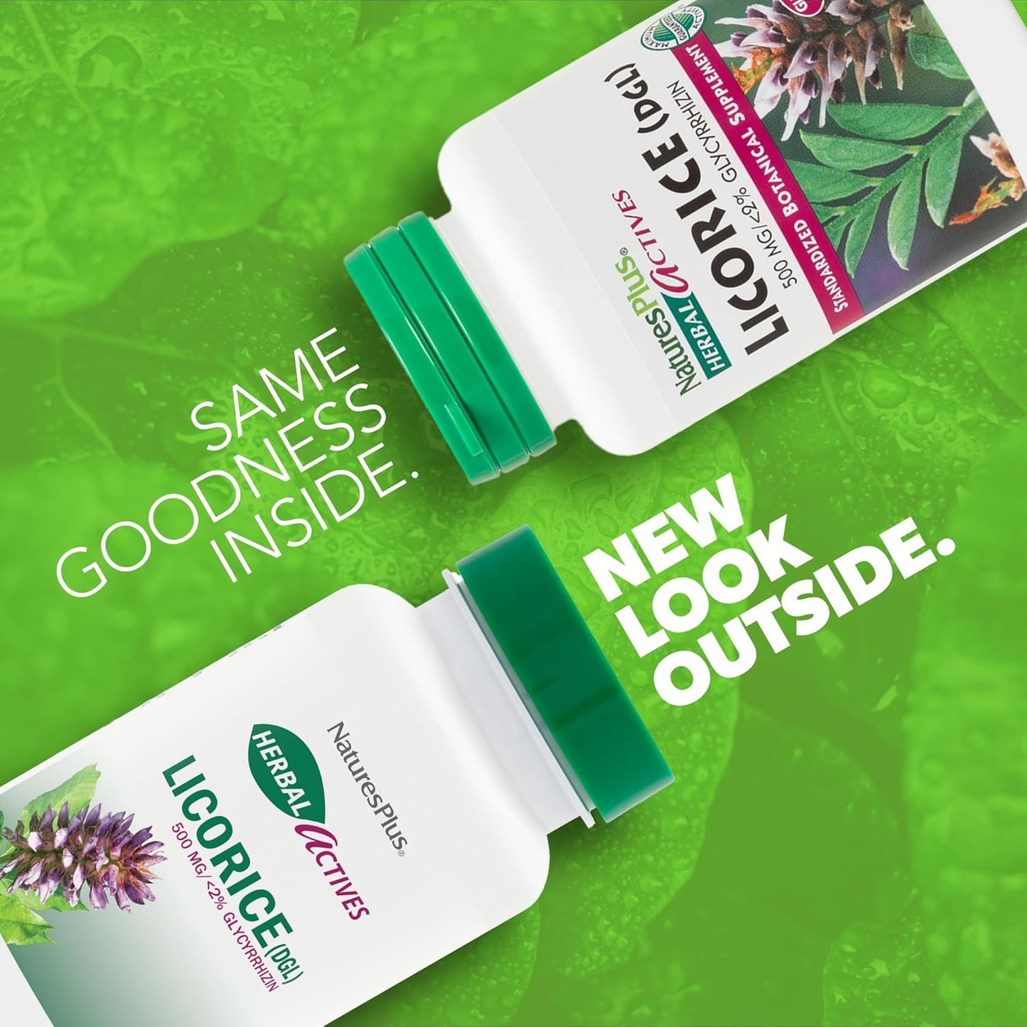 Natures Plus Herbal Actives Licorice (DGL) 500mg Capsules - 2 Pack, 120 Servings - Supports Digestion & Well-Being - Vegetarian, Gluten Free