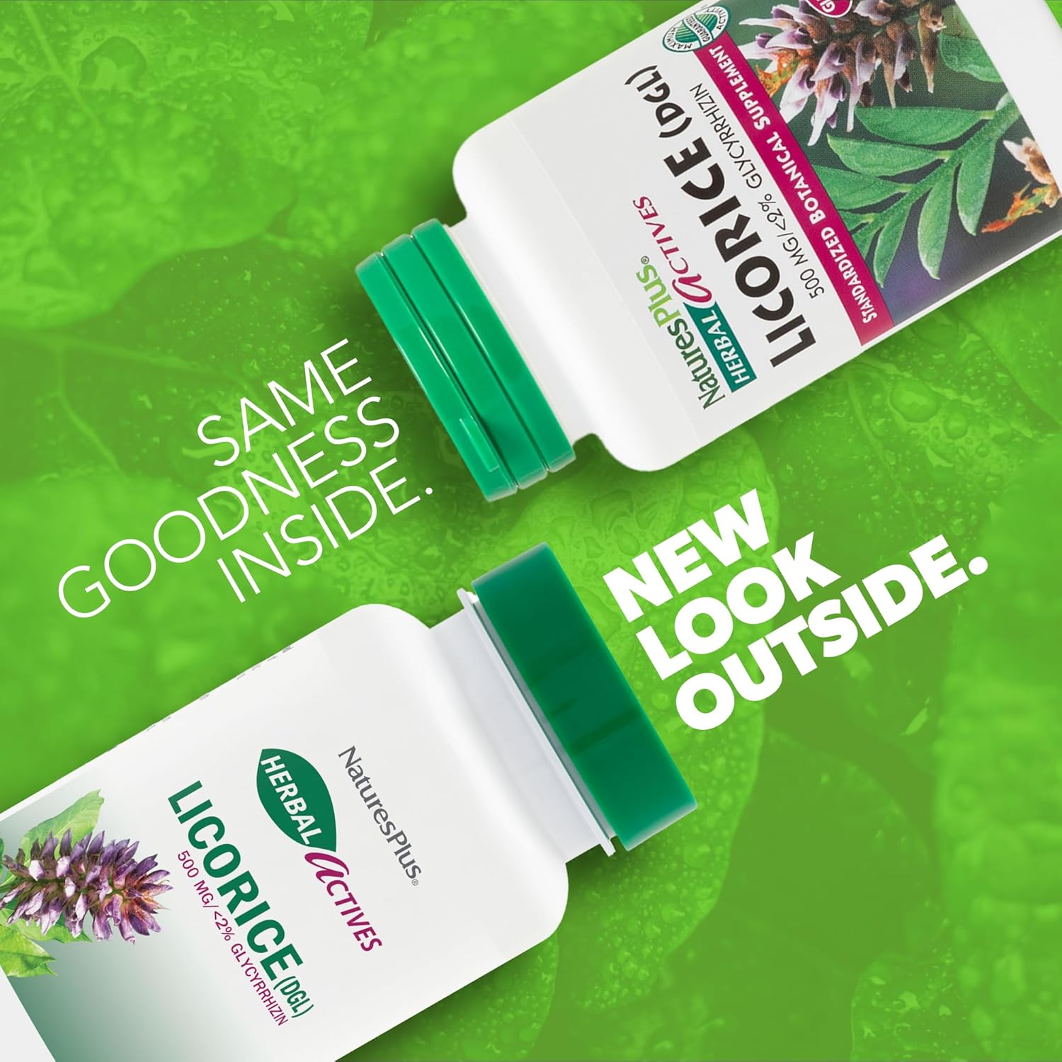 Natures Plus Herbal Actives Licorice (DGL) 500mg Capsules - 2 Pack, 120 Servings - Supports Digestion & Well-Being - Vegetarian, Gluten Free