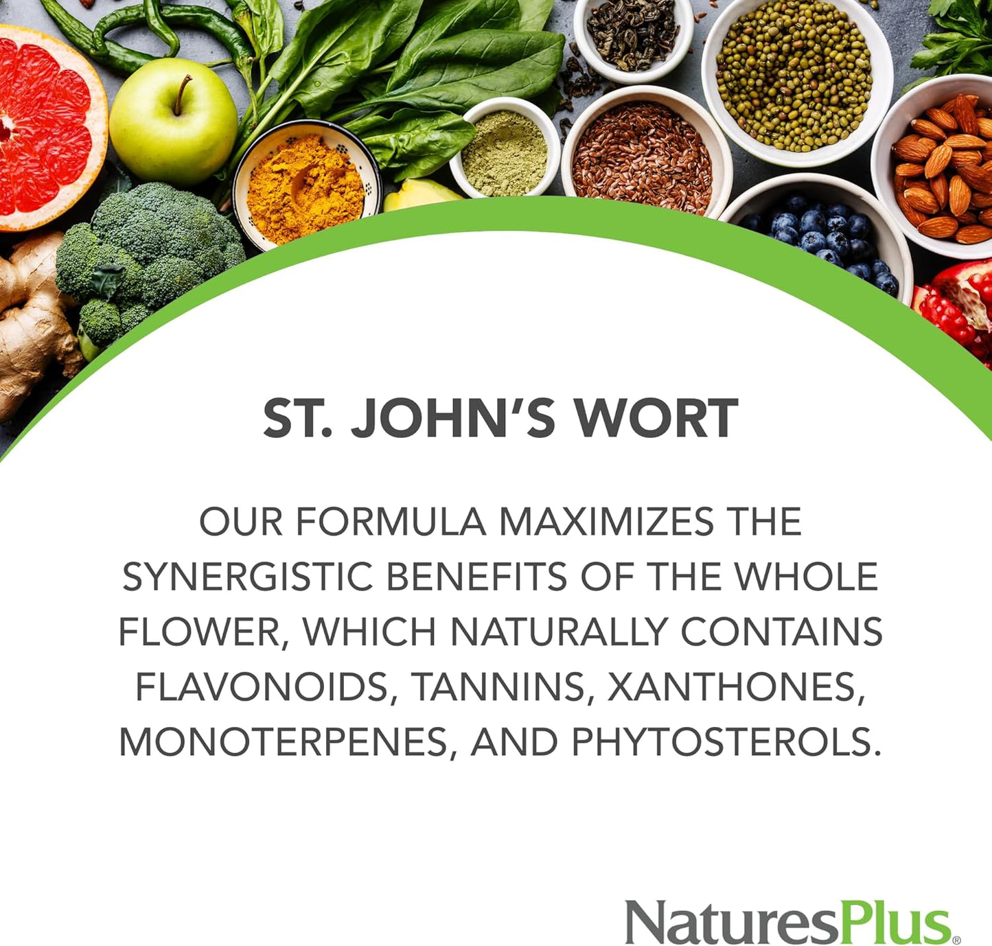 Natures Plus Herbal Actives St John's Wort Extended Release Tablets - 450mg, 60 Count - Vegan & Gluten-Free