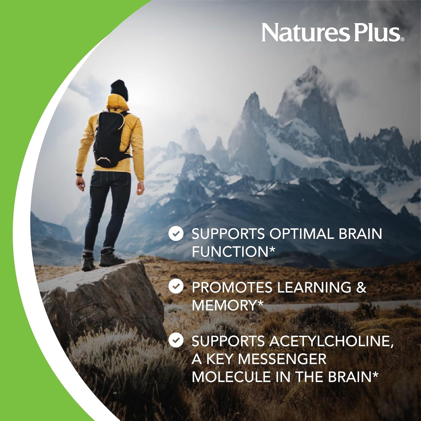 Natures Plus Huperzine Rx-Brain 50 mcg Vegetarian Tablets - Brain Support Supplement with Neuronutrients - Gluten-Free