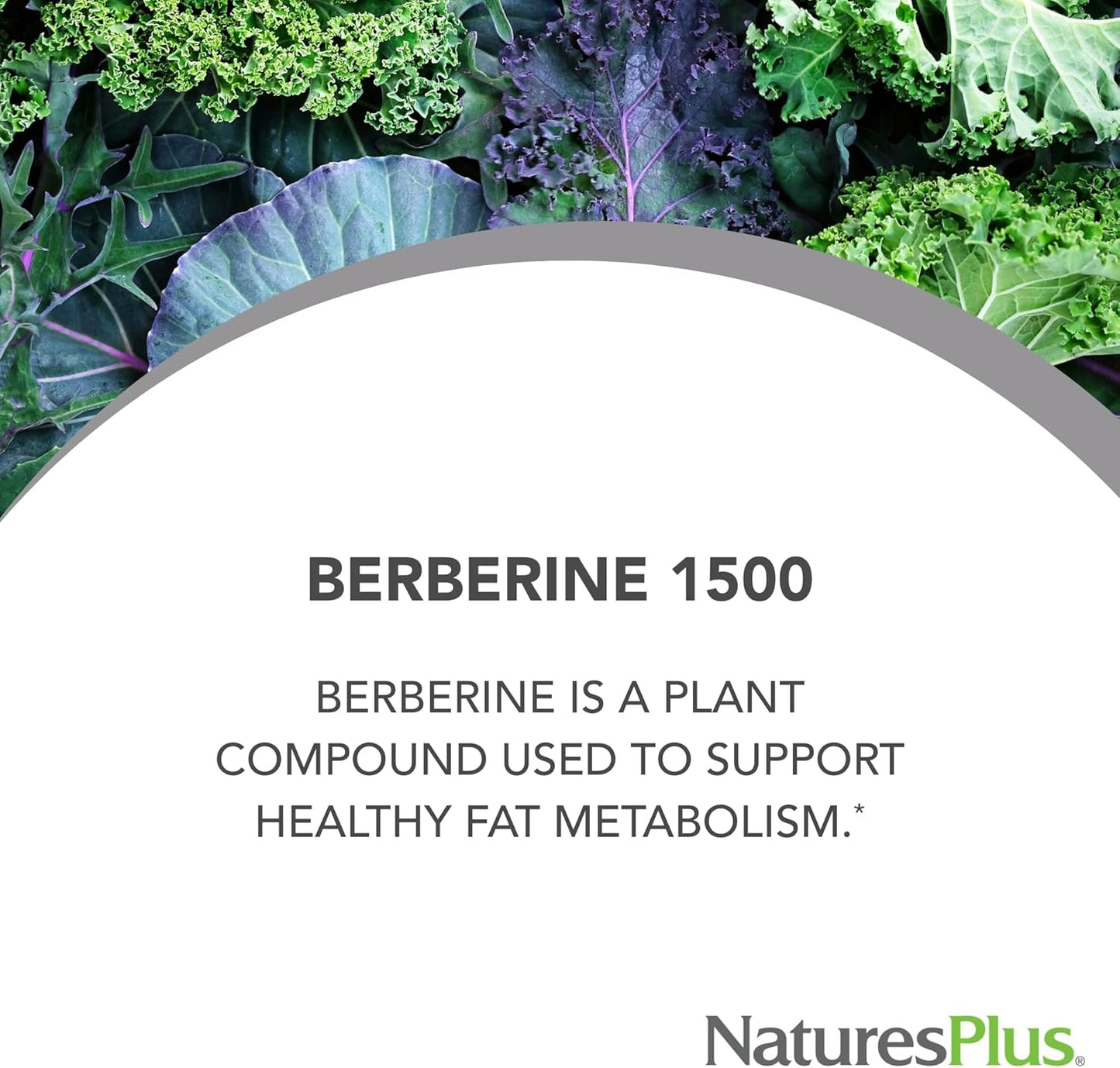Natures Plus PRO Berberine 1500 mg Tablets - Boosts Metabolism - Non-GMO, Vegan, Gluten Free - 30 Servings