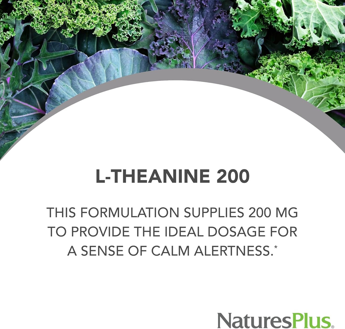 Natures Plus PRO L-Theanine Capsules - Promotes Calm Alertness, Healthy Relaxation & Rest - Non-GMO, Vegan, Gluten Free - 60 Servings