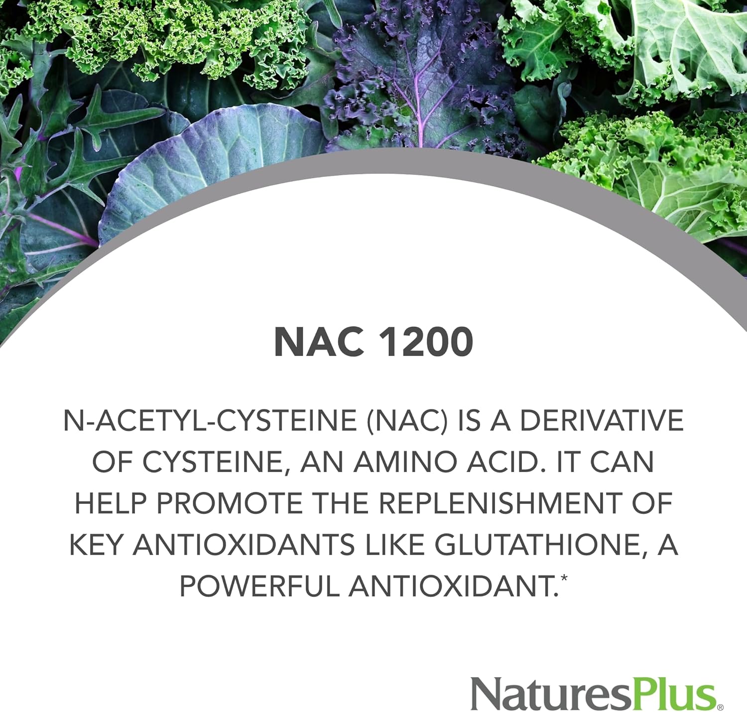 Natures Plus PRO NAC 1200 mg Capsules - Supports Glutathione - Non-GMO, Vegan, Gluten Free - 30 Servings