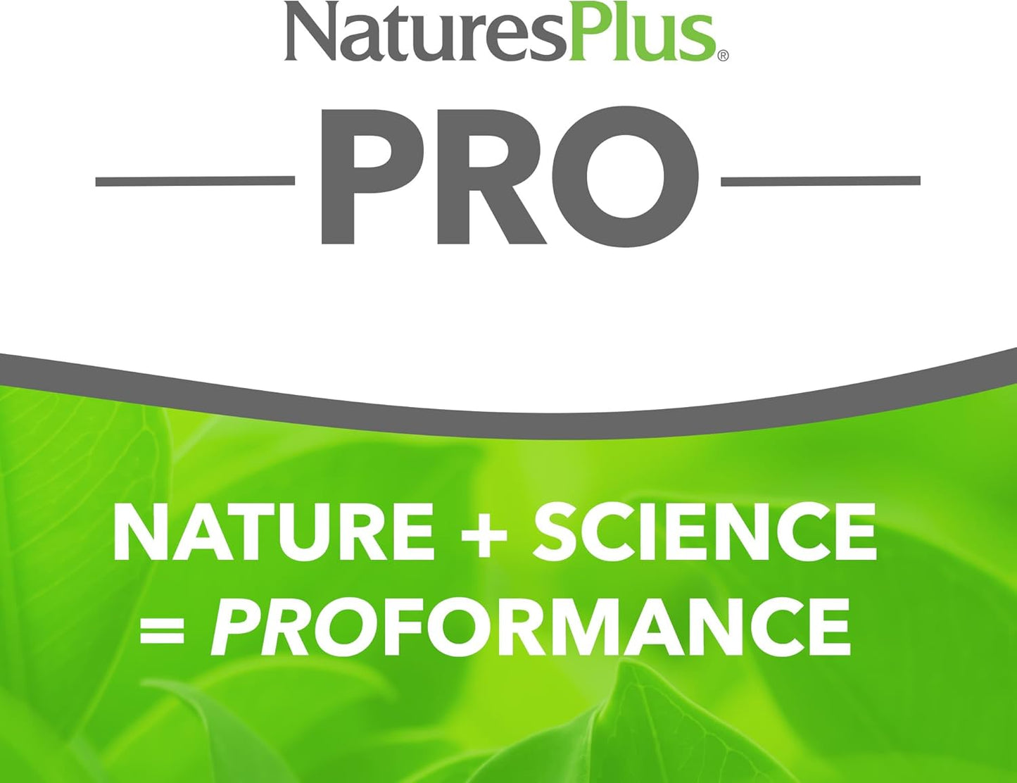 Natures Plus Quercetin Capsules - 500 mg - 60 Count - Non-GMO, Vegan, Gluten-Free - 60 Servings
