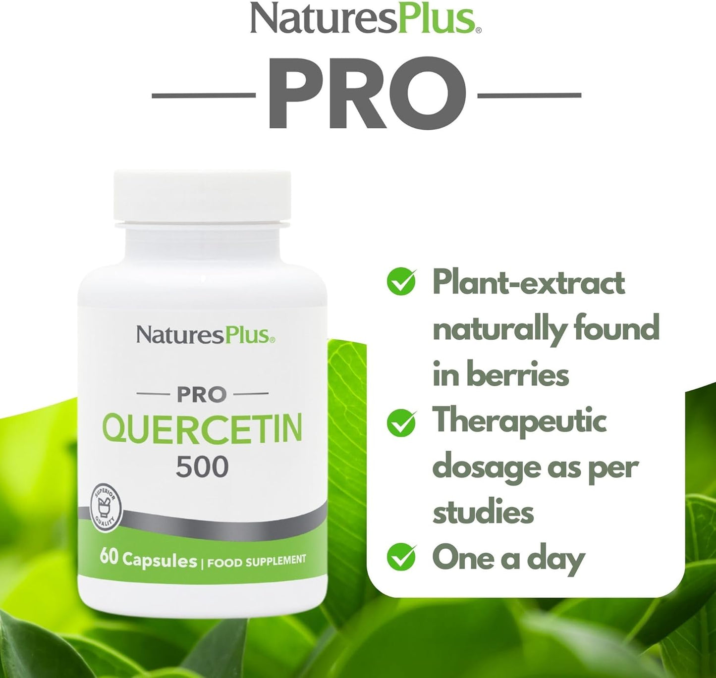 Natures Plus Quercetin Capsules - 500 mg - 60 Count - Non-GMO, Vegan, Gluten-Free - 60 Servings