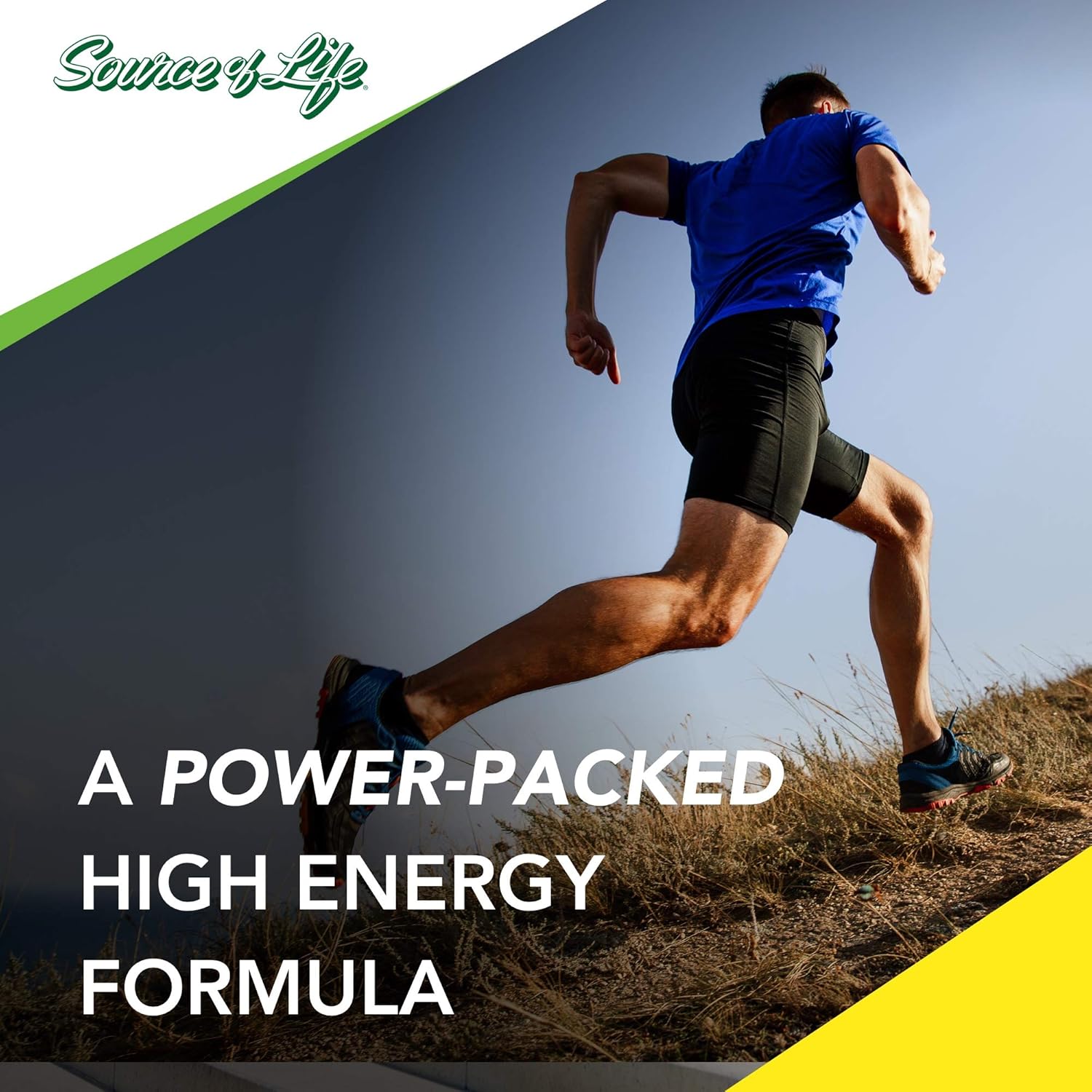 Natures Plus Source of Life Adult Chewable Multivitamin - 90 Vegetarian Wafers - Apple Cinnamon Flavor - Whole Foods Supplement for Health and Energy - Gluten-Free - 45 Servings