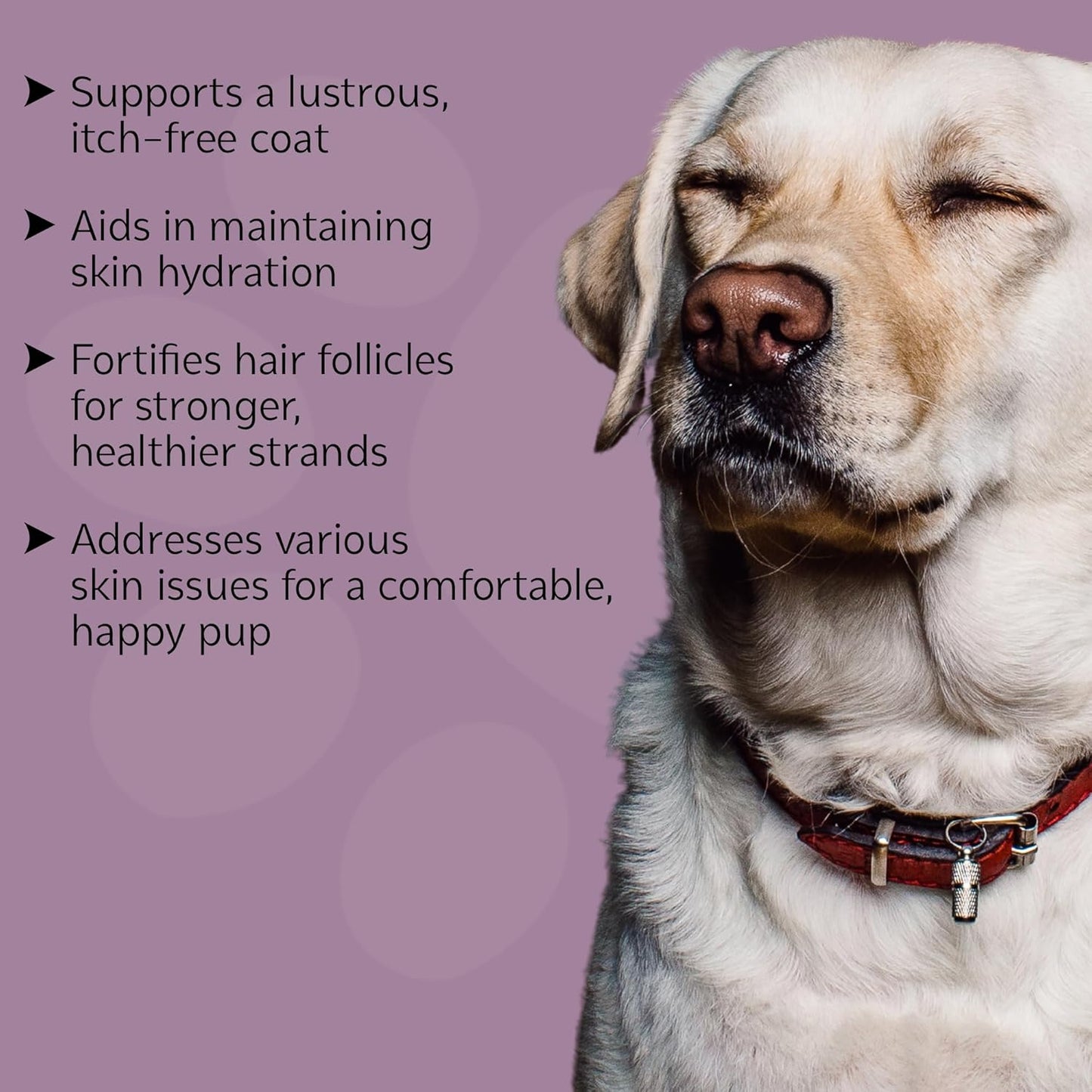 Nature's Scent Dog Skin & Coat Chewable Supplement - Omega Fatty Acids & Vitamins for Healthy Skin & Coat - All Ages & Breeds - 60 Chews