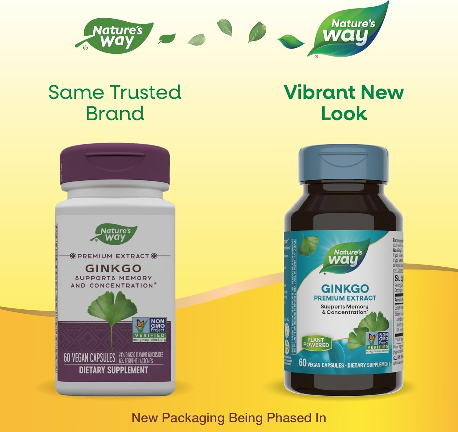 Nature's Way Ginkgold: Memory and Concentration Support, 60 Capsules