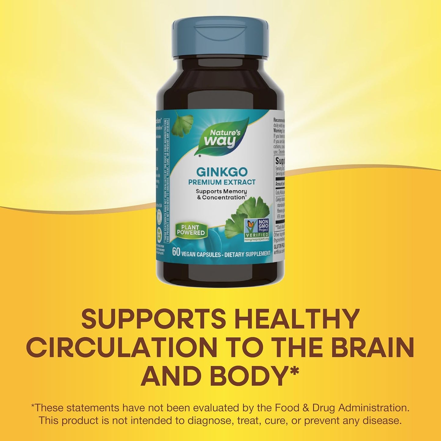 Nature's Way Ginkgold: Memory and Concentration Support, 60 Capsules