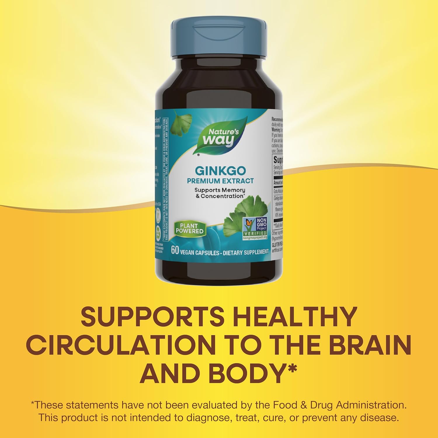 Nature's Way Ginkgold: Memory and Concentration Support, 60 Capsules
