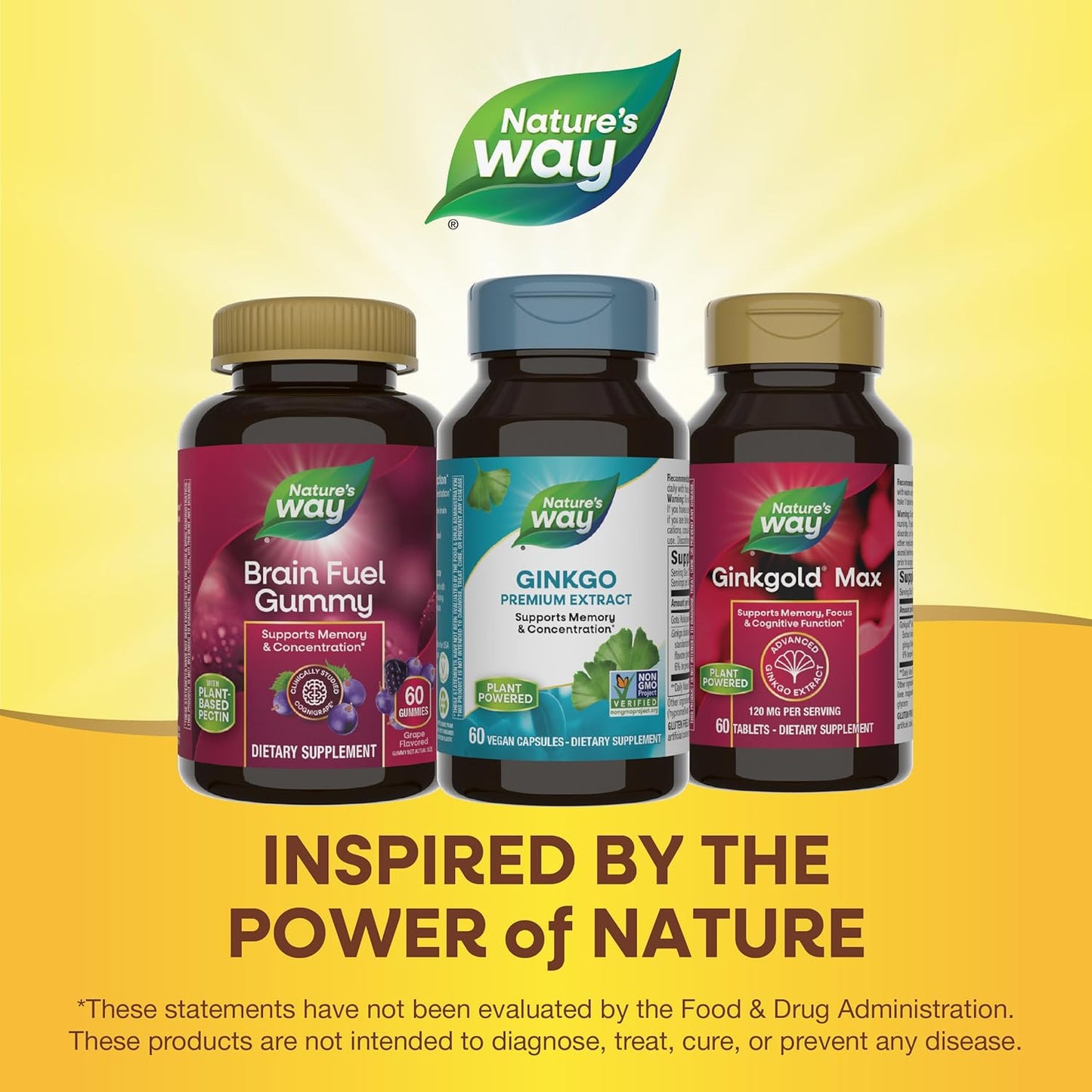 Nature's Way Ginkgold: Memory and Concentration Support, 60 Capsules