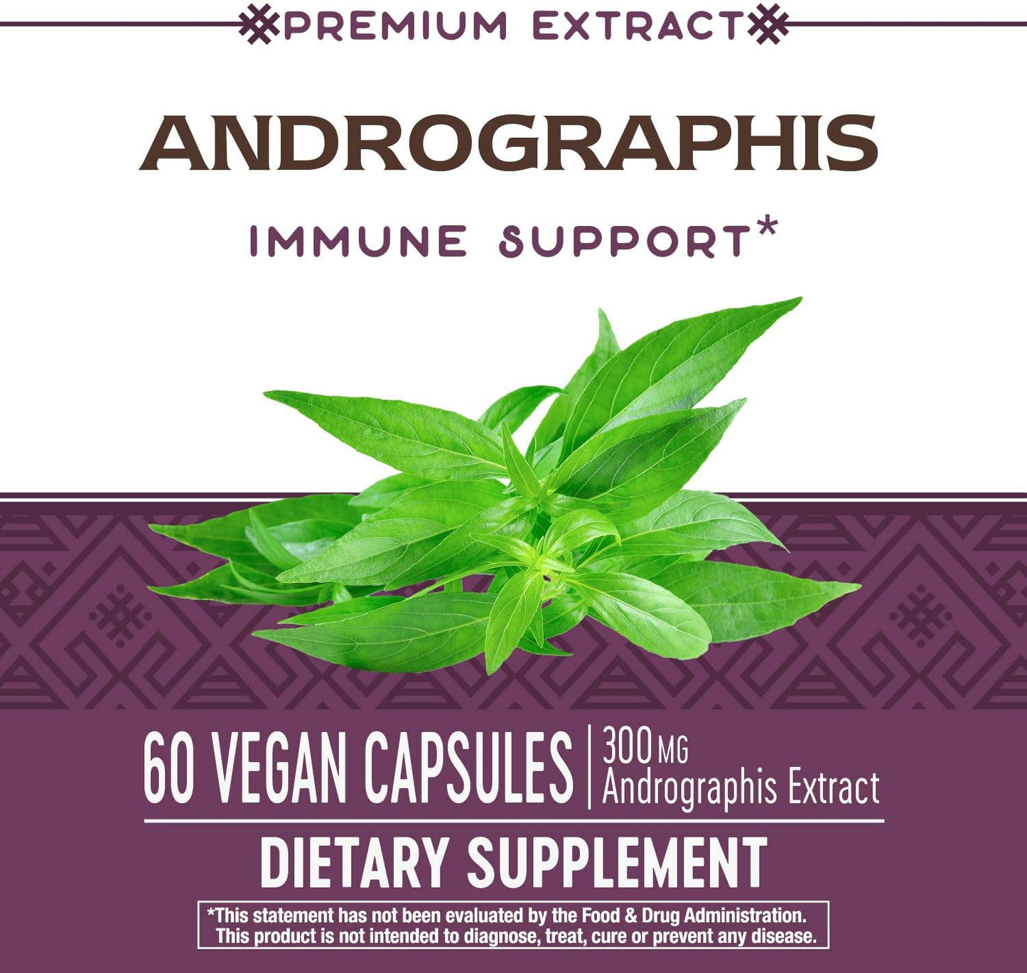 Nature's Way Premium Extract Andrographis Capsules - Immune Support* - 300 mg Andrographis Extract - 60 Count - BoostGo Australia