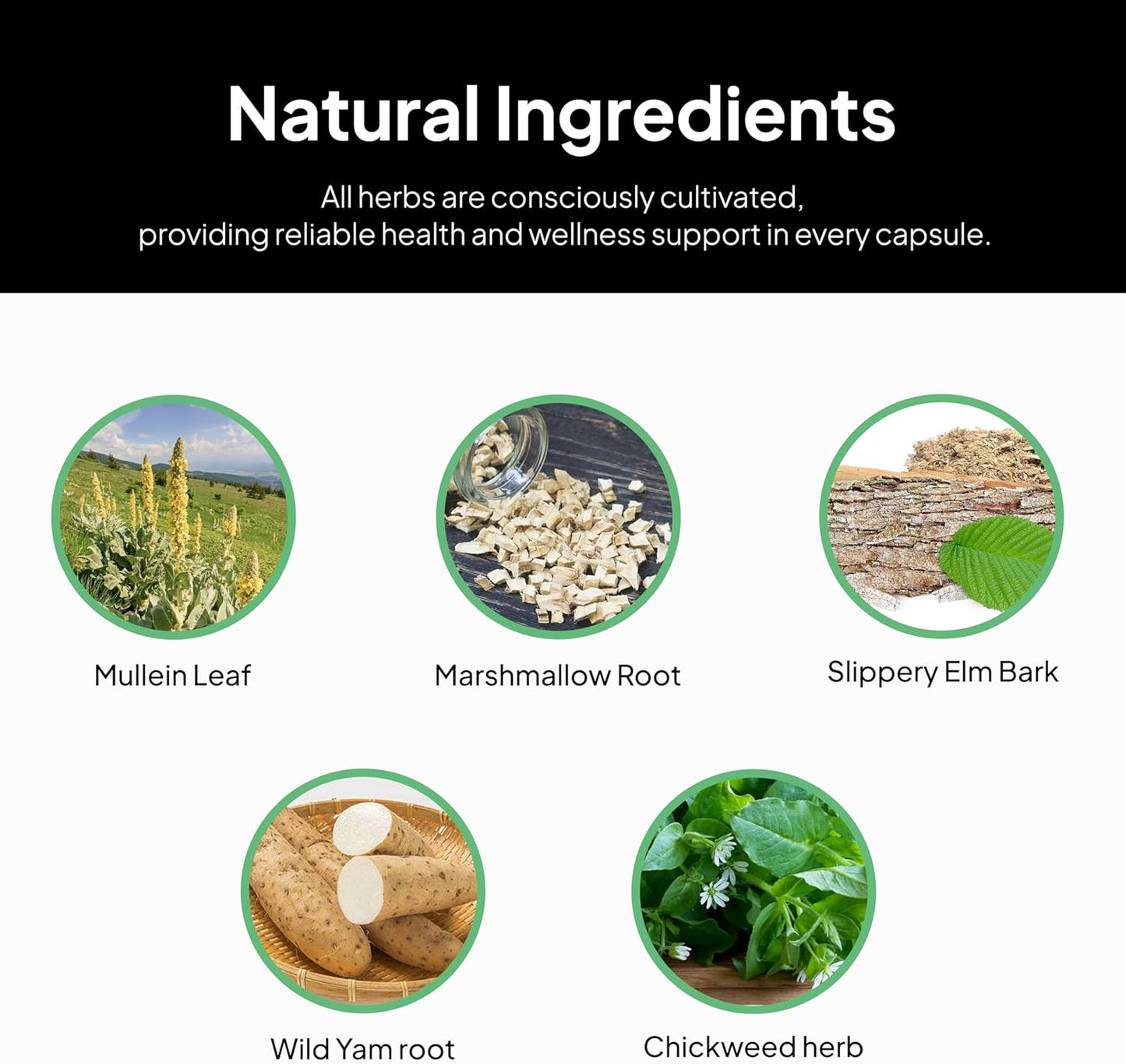 Naturopath Formulated GI Daily Gut Cleanse - Digestive Support Supplement with Marshmallow Root, Slippery Elm Bark, Mullein Leaf - 90 Capsules