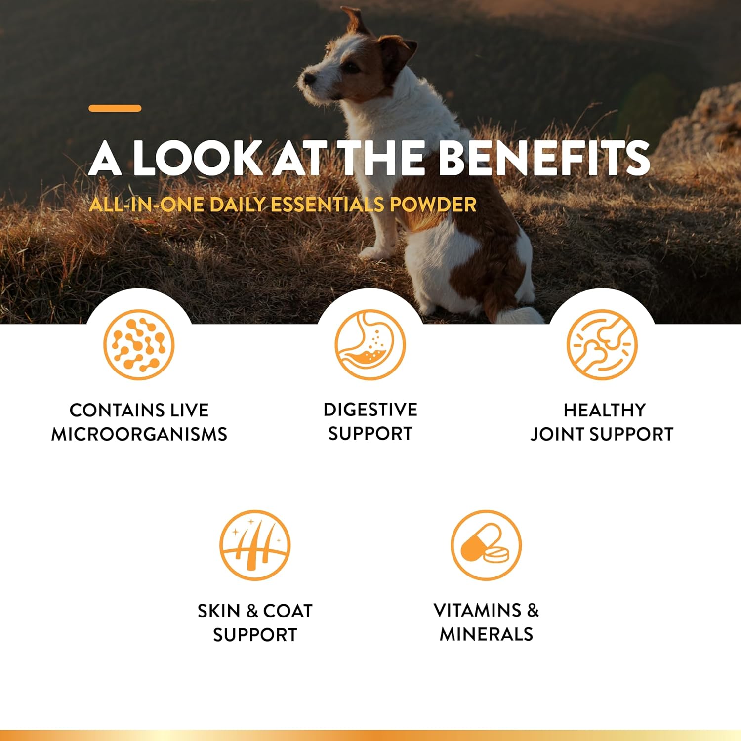 NaturVet All-in-One Dog Supplement for Joint Support, Digestion, Skin & Coat Care - Multivitamins with Omega-3, 6, 9 & Minerals - Wheat-Free Powder - 13oz.