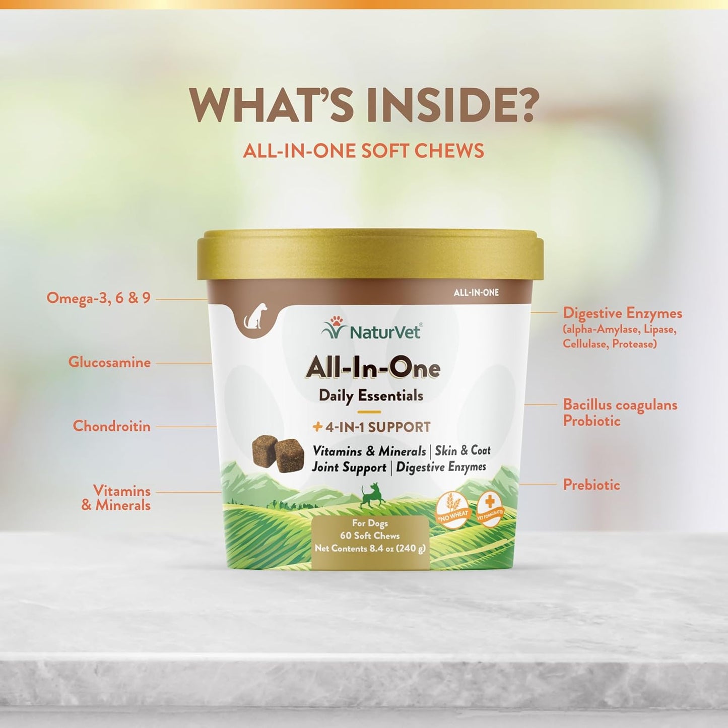 NaturVet All-in-One Dog Supplement with Joint Support, Digestion, Skin, Coat Care - 60 Soft Chews