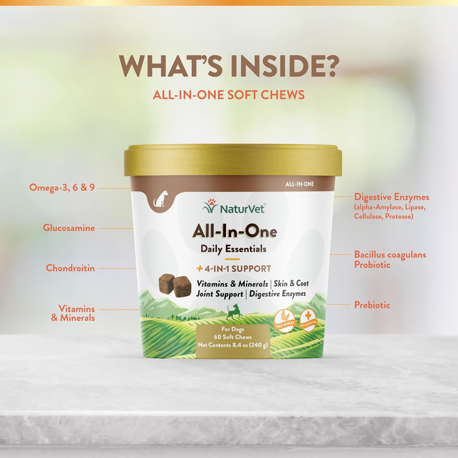 NaturVet All-in-One Dog Supplement with Joint Support, Digestion, Skin, Coat Care - 60 Soft Chews