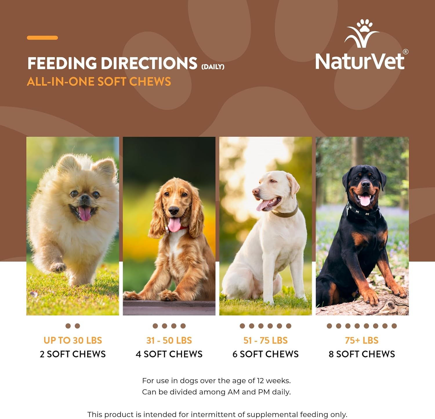 NaturVet All-in-One Dog Supplement with Joint Support, Digestion, Skin, Coat Care - 60 Soft Chews