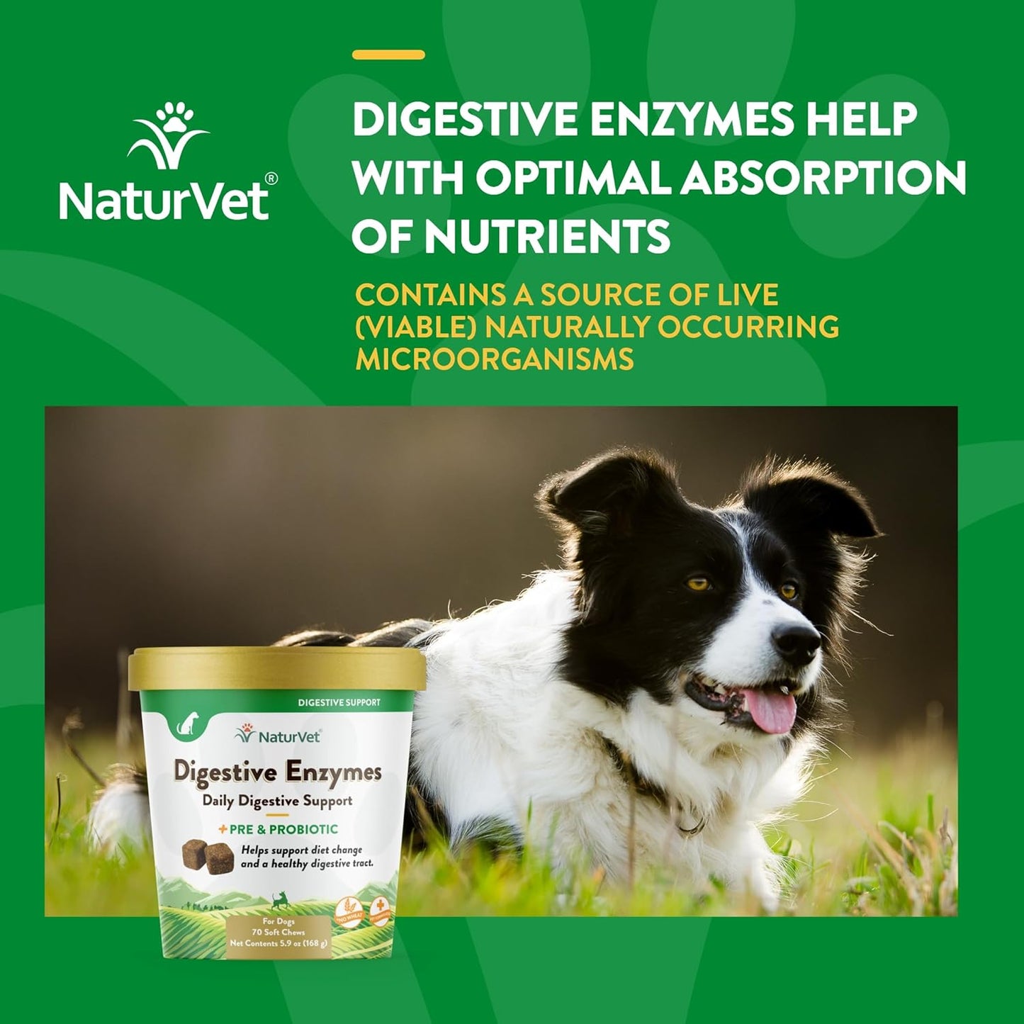 NaturVet Probiotics and Enzymes Soft Chews - Digestive Supplement with Prebiotics, 70 Count, Made in the USA