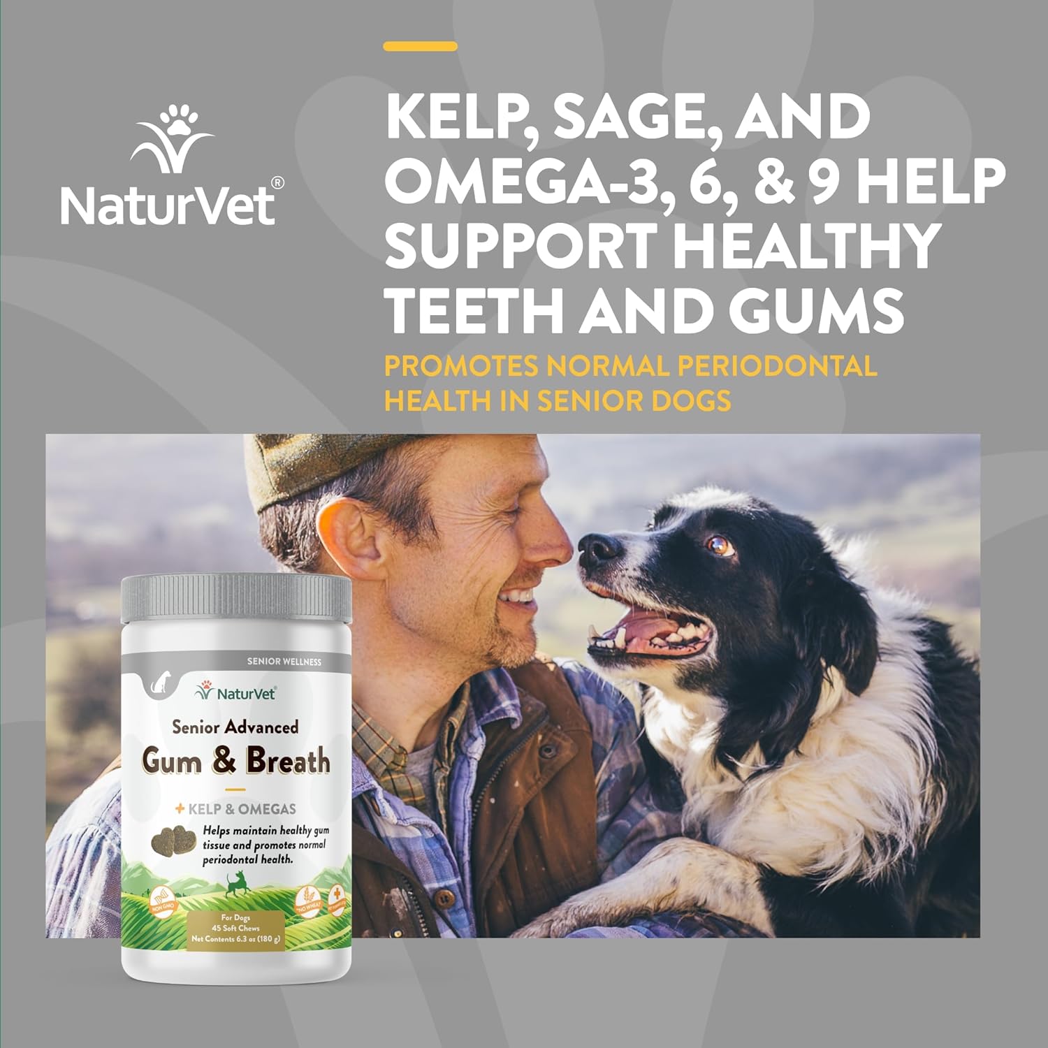 NaturVet Senior Advanced Dog Supplement for Periodontal Health and Fresh Breath - 45 Soft Chews with Peppermint and Parsley Leaf