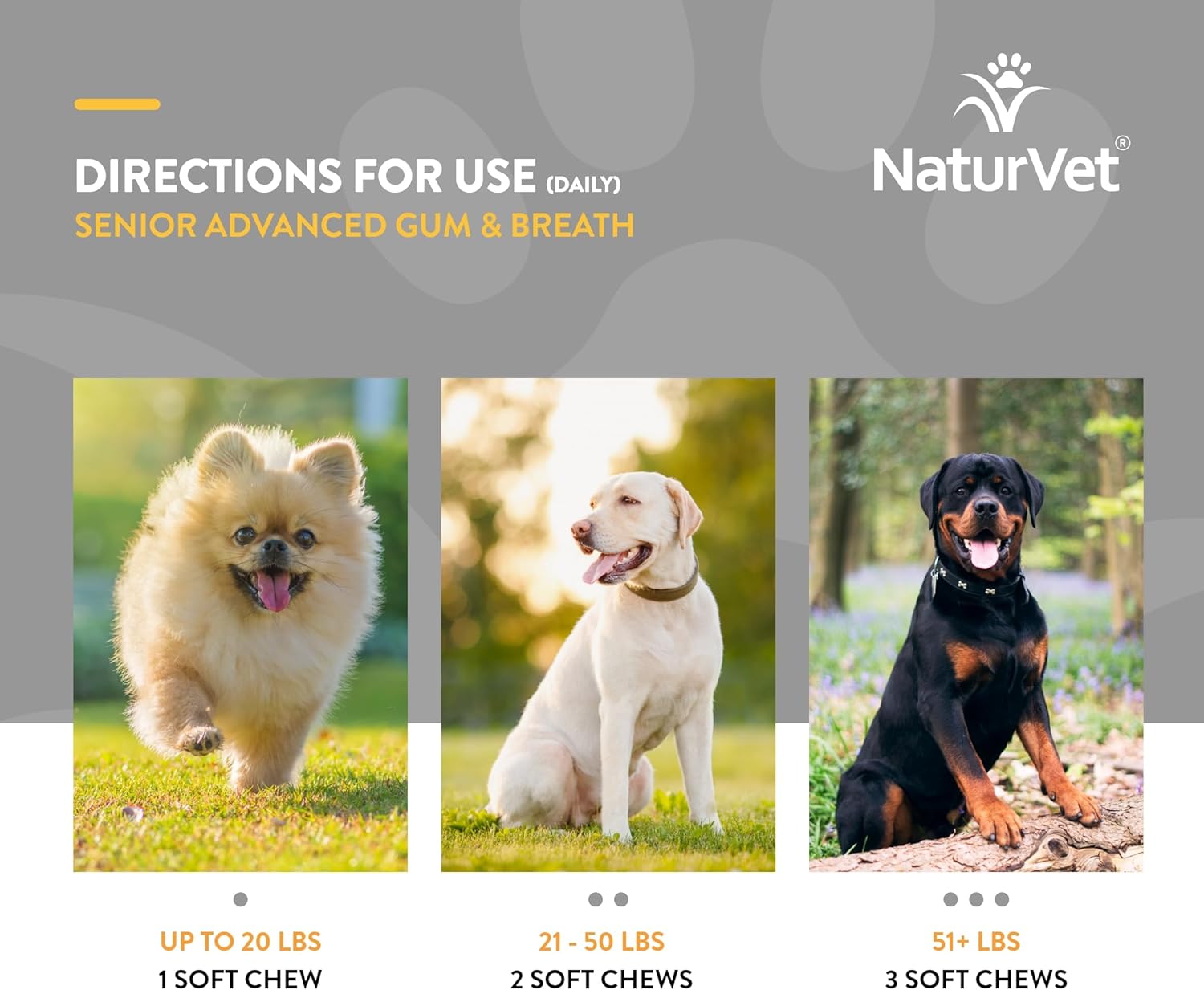 NaturVet Senior Advanced Dog Supplement for Periodontal Health and Fresh Breath - 45 Soft Chews with Peppermint and Parsley Leaf