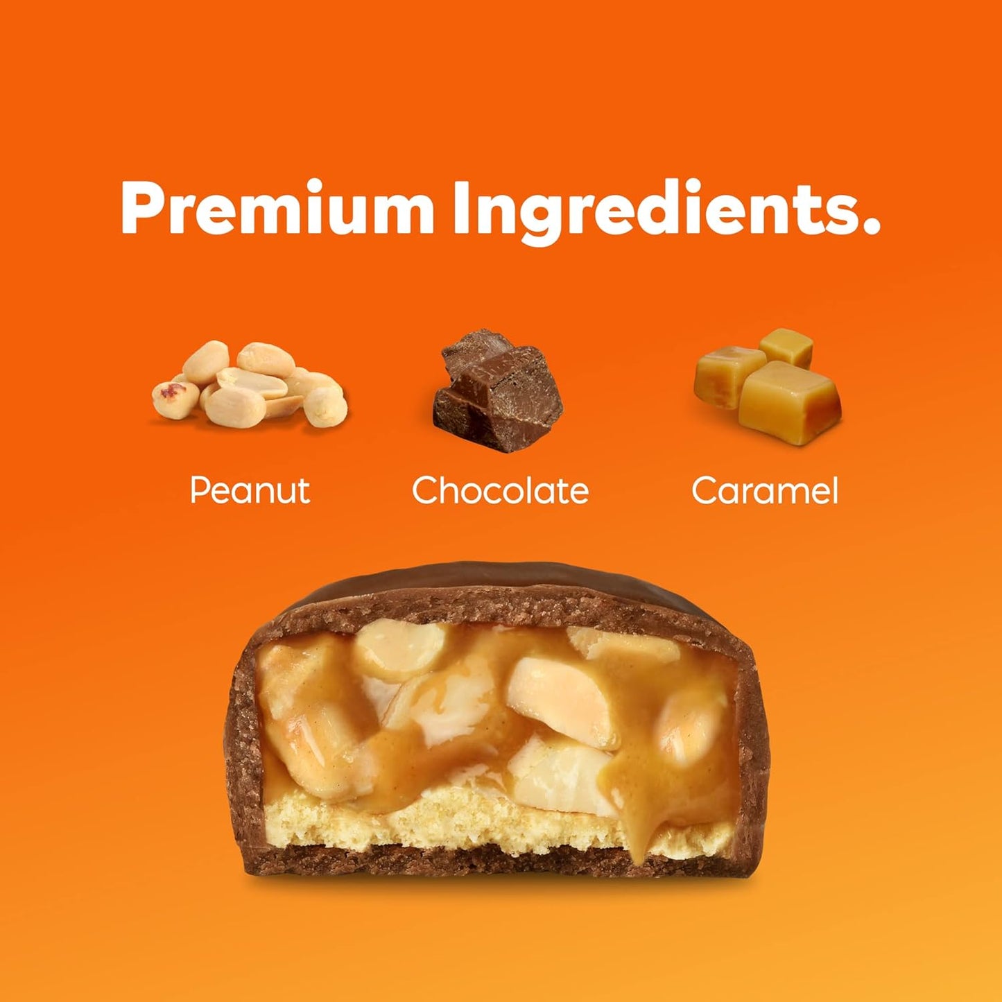 N!CK'S NICKS Chocolate Peanut Protein Bars Multipack - 12 bars x 50g, 15g protein, 200 calories, Low Carb Keto Friendly Snacks, No Added Sugar