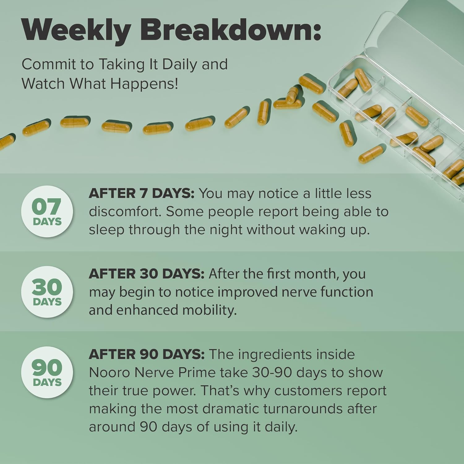 Nerve Prime Supplement with R-Alpha Lipoic Acid, Lion’s Mane Mushroom, Curcumin - Supports Well-Being, Cognitive Function, Antioxidant Protection - 60 Day Supply (2 Pack)