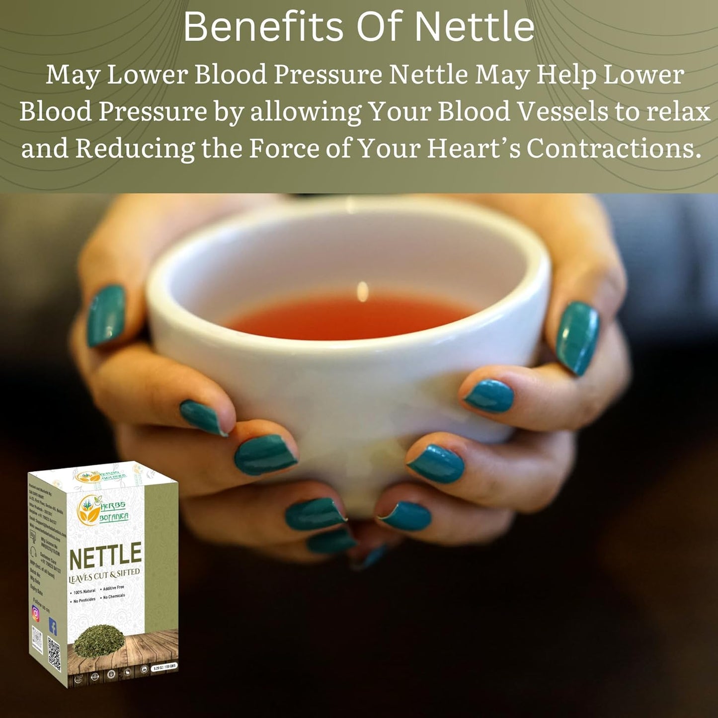 Nettle Leaf Botanica Cut and Sifted for Herbal Tea and Smoothies - 5.29 oz Vegan Non GMO Supplement