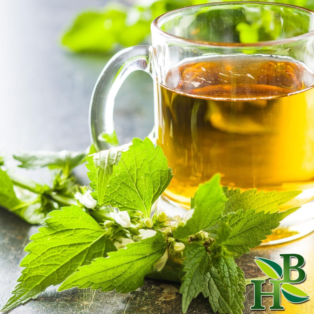 Nettle Leaf C/S - Wildcrafted Urtica Dioica - 4oz Herbal Supplement