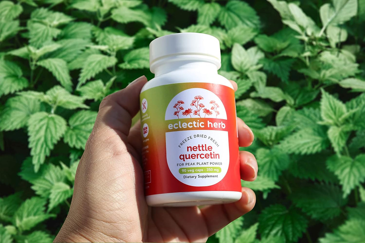 Nettle Quercetin Capsules by Eclectic Institute - Non-GMO, Vegan | 90 Count