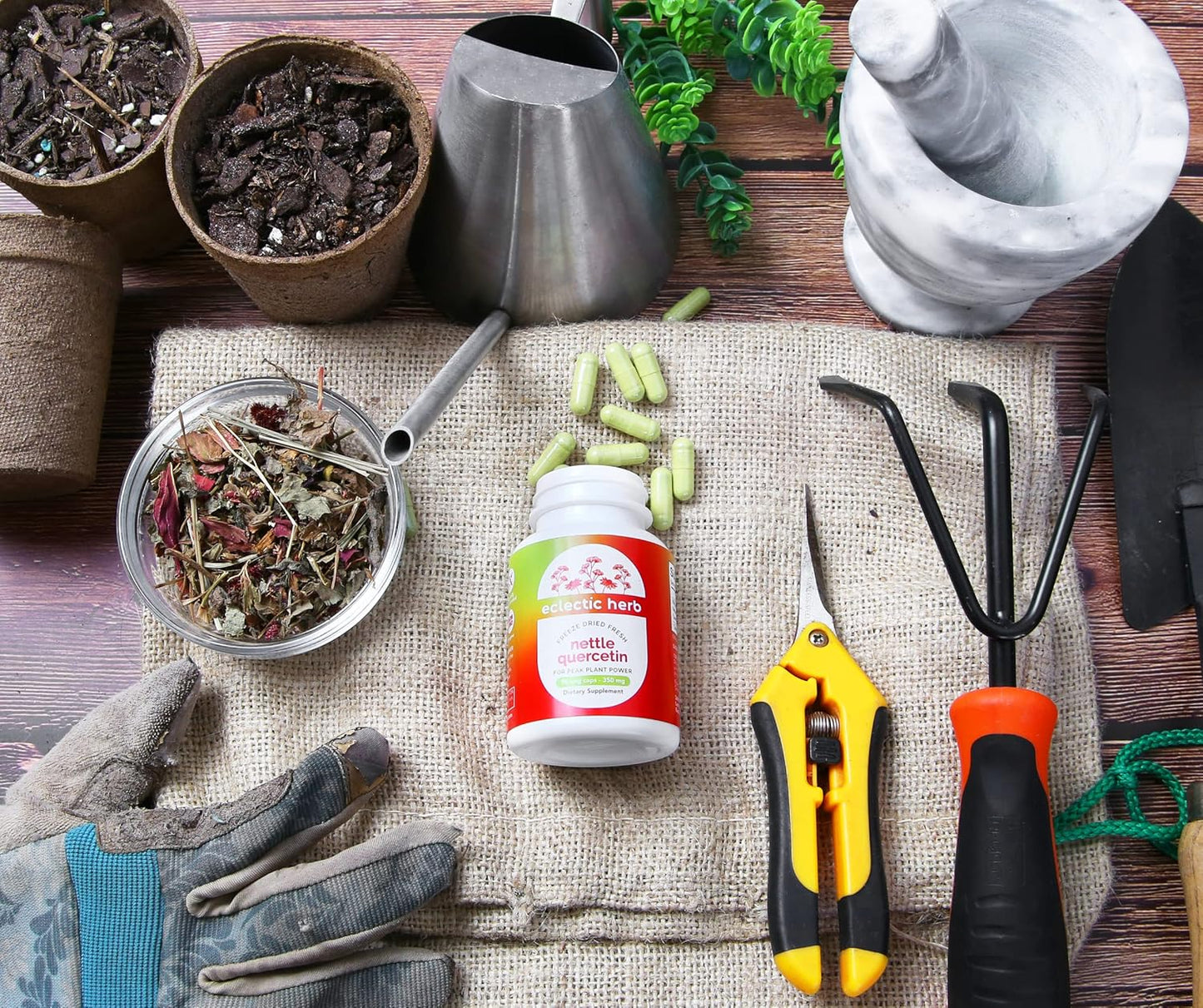 Nettle Quercetin Capsules by Eclectic Institute - Non-GMO, Vegan | 90 Count