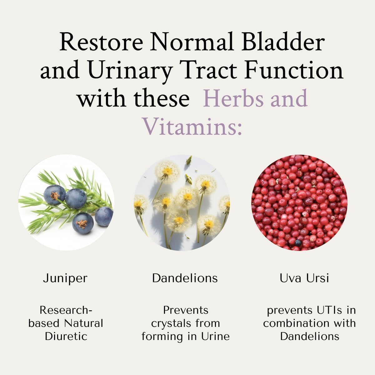 NeuEve Natural Drain Daily Supplement for Urine Control | Reduces Urine Retention, Supports Urinary Tract Health