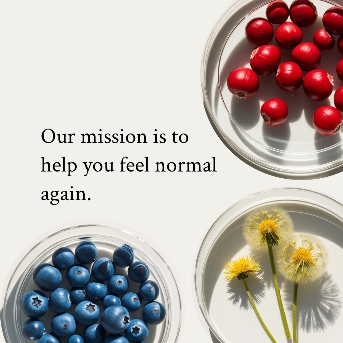 NeuEve Natural Drain Daily Supplement for Urine Control | Reduces Urine Retention, Supports Urinary Tract Health