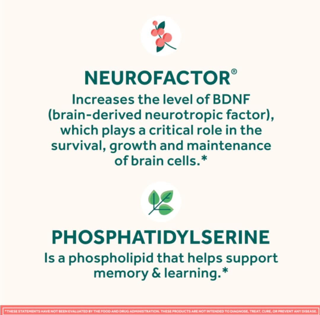 NEURIVA Original Brain Supplement with Clinically Tested Nootropics for Memory, Focus & Concentration - Strawberry Flavor, 50 Gummies - 2 Pack