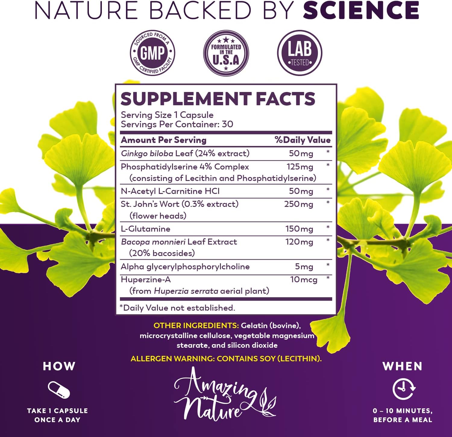 Neuro Booster Nootropic Supplement for Memory, Clarity, Focus, Relaxation - Gingko Biloba, Bacopa Monnieri, St. John’s Wort & More