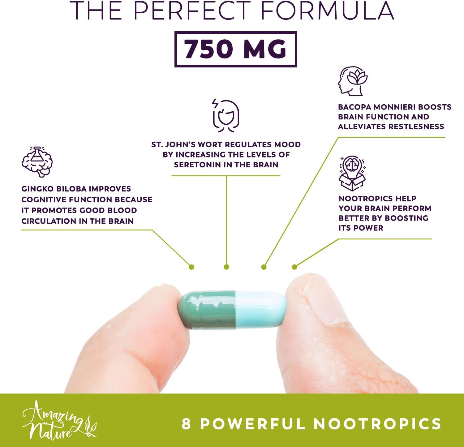 Neuro Booster Nootropic Supplement for Memory, Clarity, Focus, Relaxation - Gingko Biloba, Bacopa Monnieri, St. John’s Wort & More