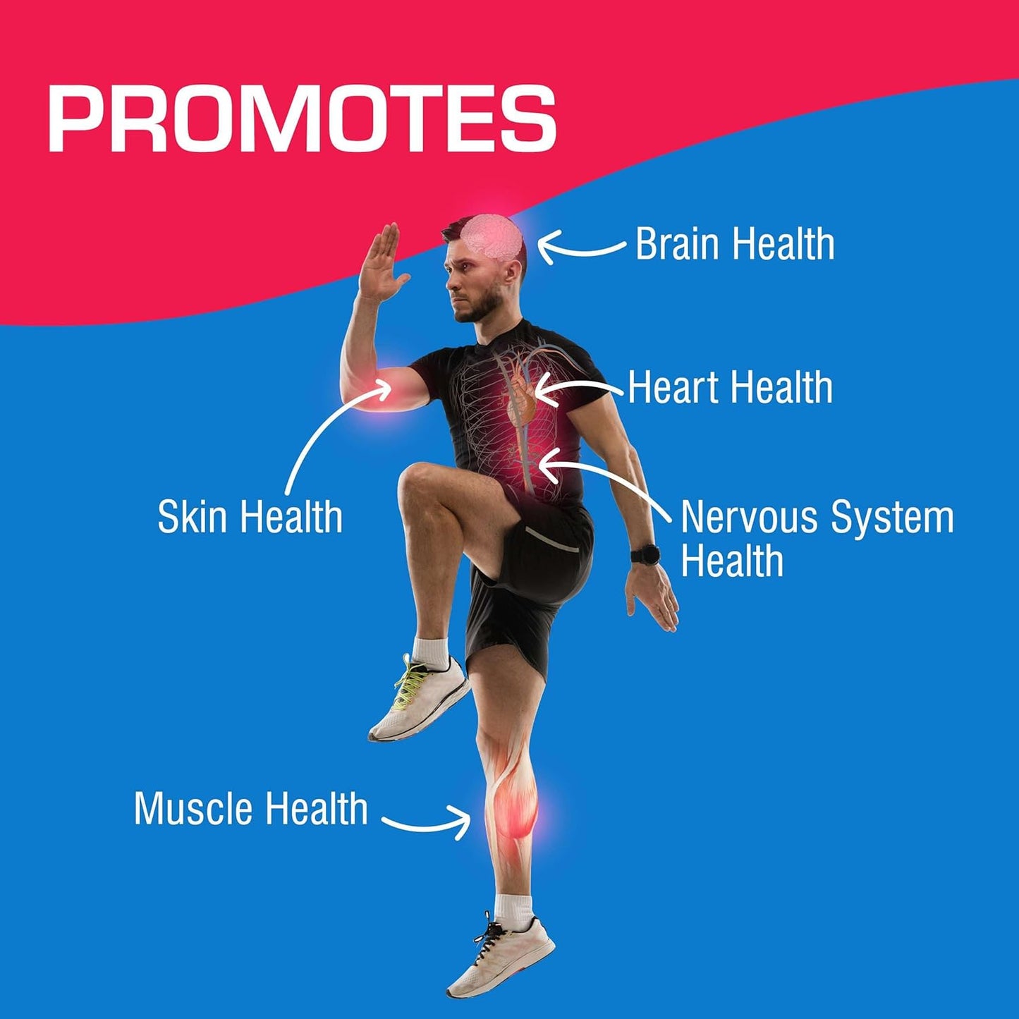 Neuro Ease Supplement with Vitamin B12, Turmeric Curcumin, and Magnesium - 40 Tablets for Muscle and Nerve Health - Includes Choline and Niacin for Optimal Wellness