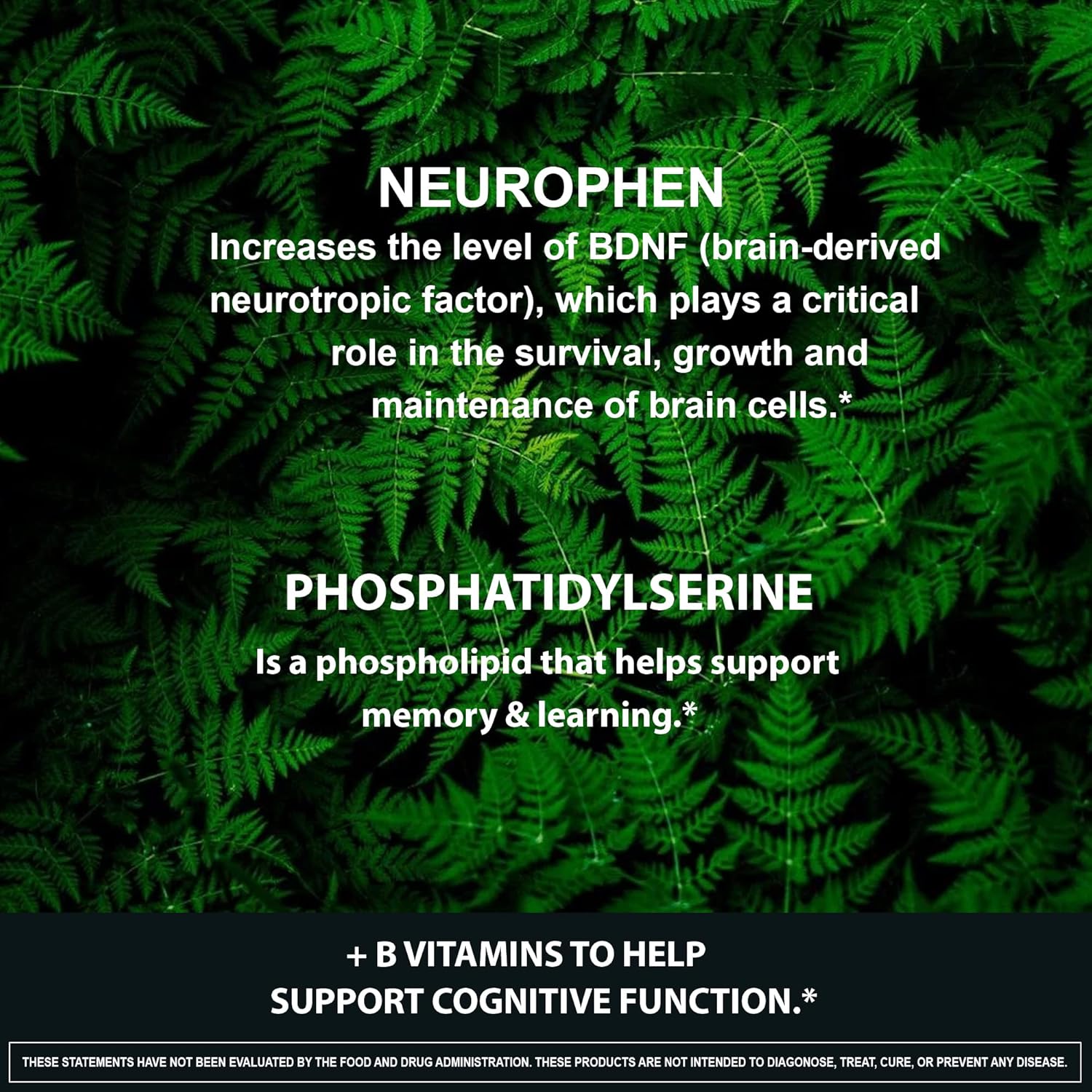 NeuroPhen Nootropics Brain Booster Supplement with Bacopa Extract, Phosphatidylserine, Huperzine A - 60 Capsules for Focus and Memory