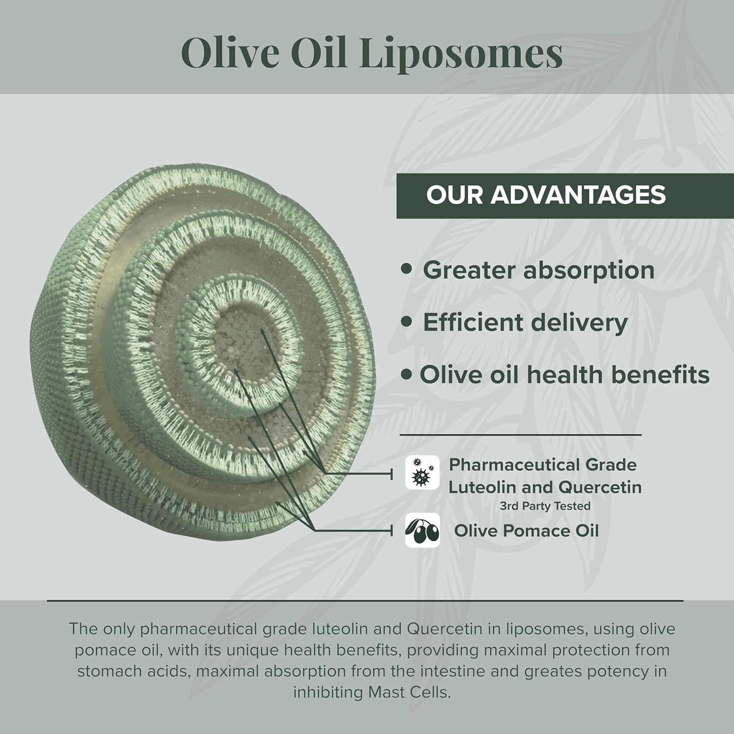 NeuroProtek Low Phenol Soft Gels - 60 Count, Luteolin and Flavonoids in Olive Pomace Oil