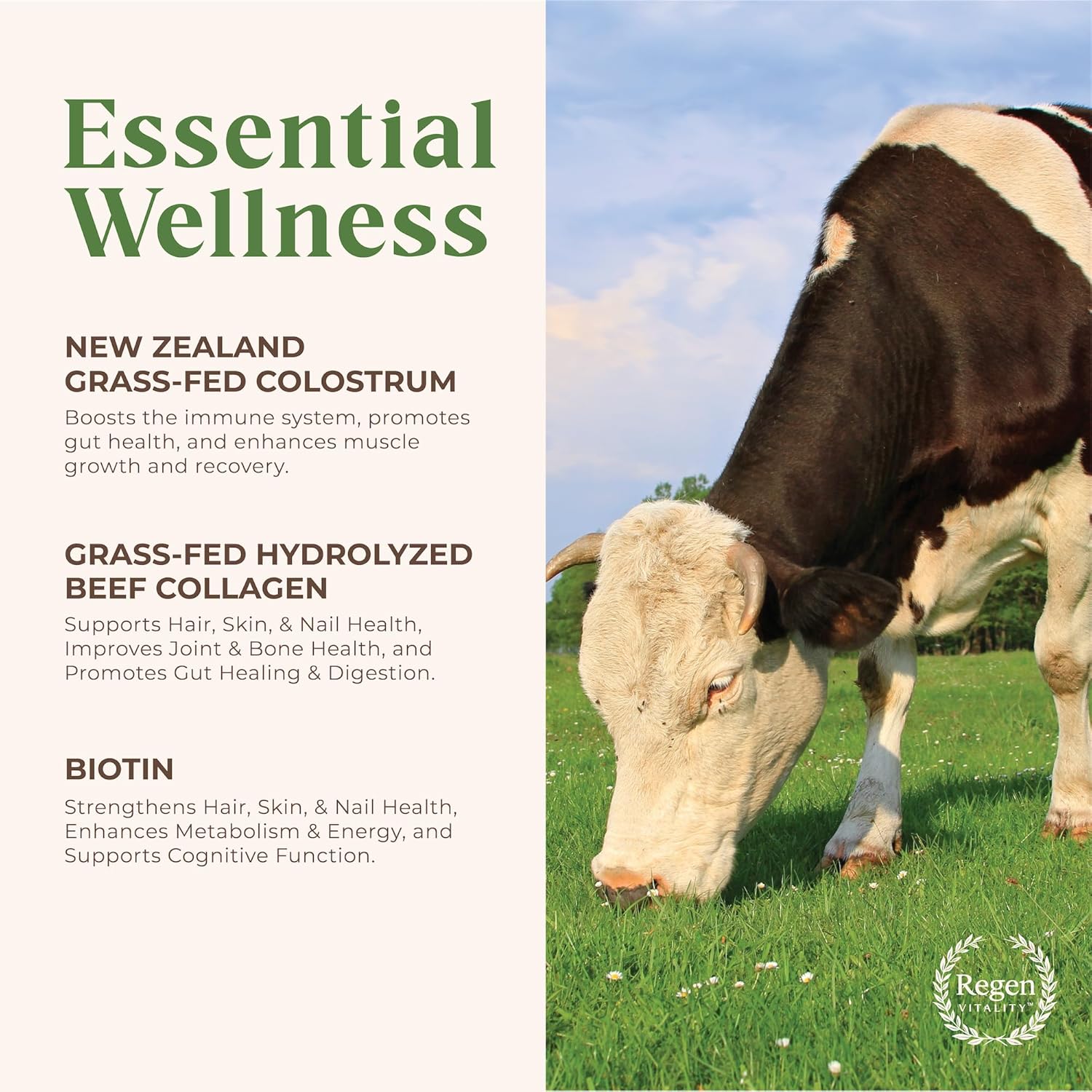 New Zealand Bovine Colostrum & Collagen Powder for Gut, Hair, Skin, Joints - Vanilla Bean (28 Servings)