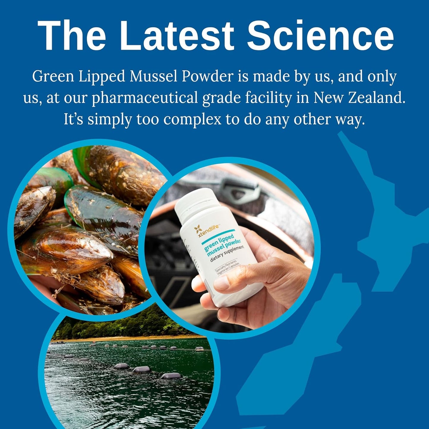 New Zealand Green Lipped Mussel Powder Supplement - 2400mg with Omega-3 for Joint Health, 120 Capsules (2 Pack) by Xtendlife