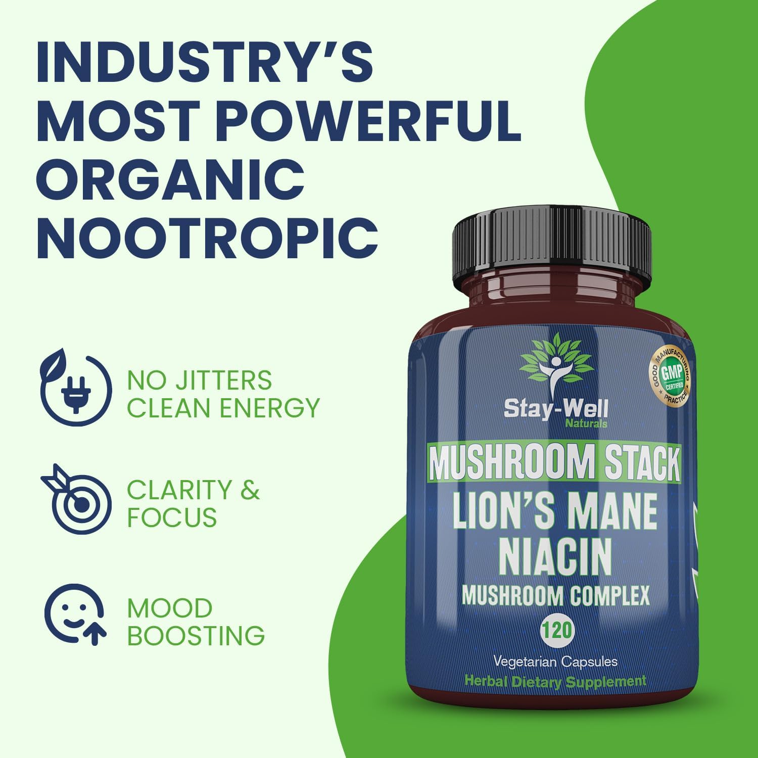 Niacin Lion Mane Mushroom Supplement Capsules with Turkey Tail, Chaga, and Reishi Extracts - Stay-Well Naturals Mushroom Complex Capsules