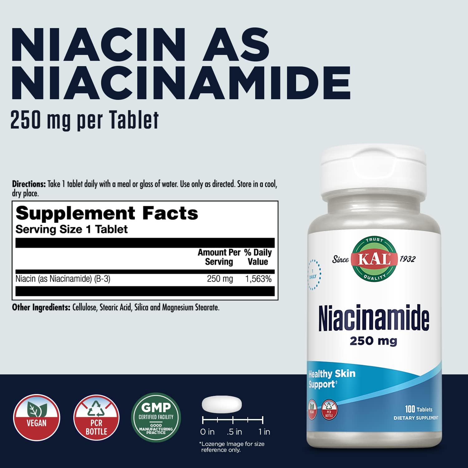 Niacinamide 250mg Tablets for Skin, Energy, Nerves & Circulation - Vegan Supplement with Enhanced Absorption - 100 Tablets, 100 Servings