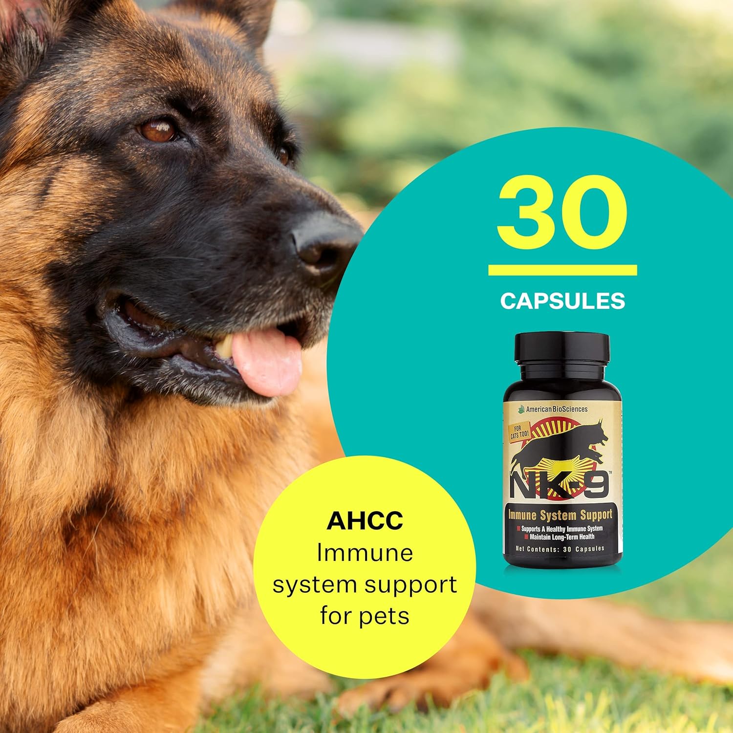 NK-9 AHCC Supplement for Dogs & Cats - Supports Pet's Immune System - 30 Capsules, 250mg - BoostGo Australia
