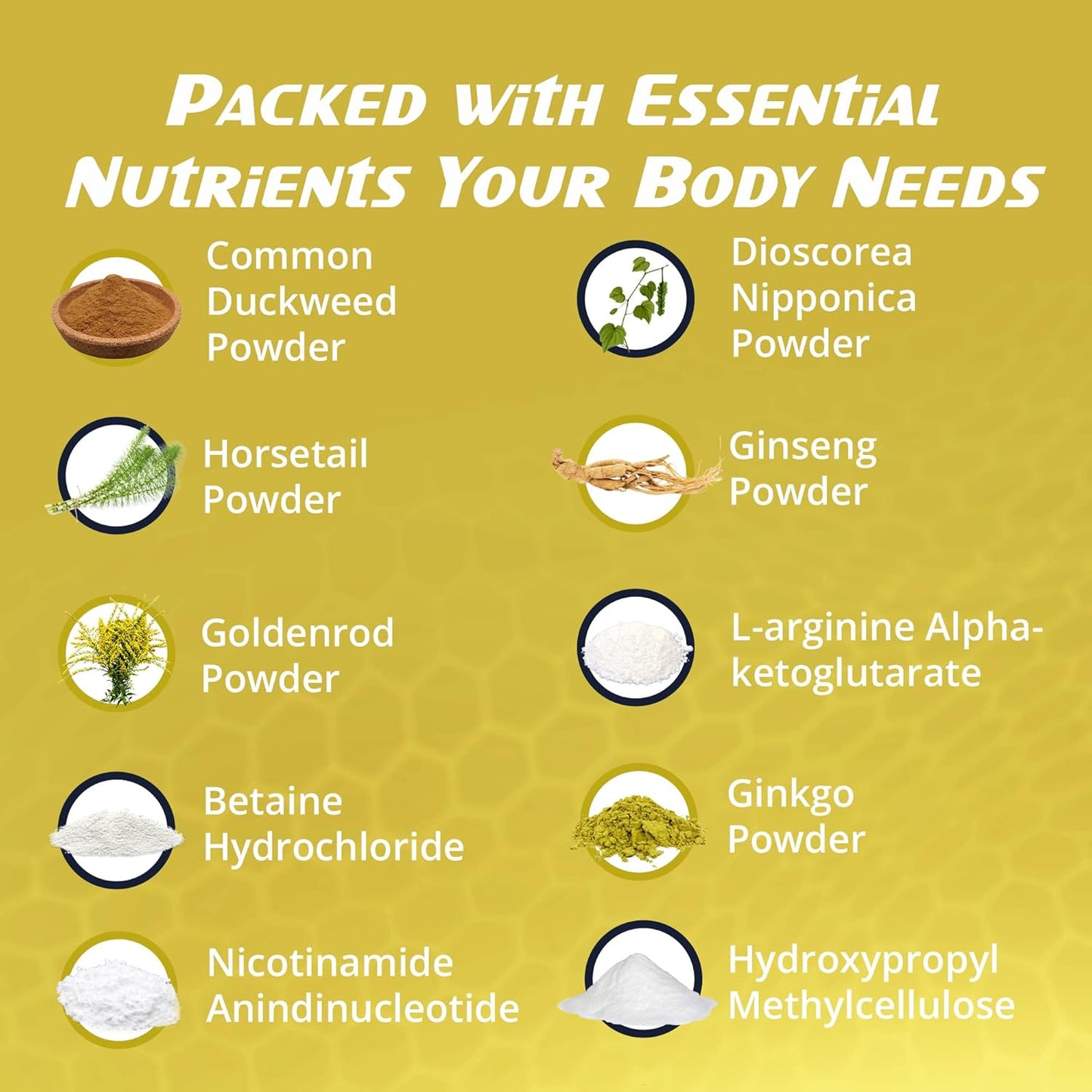 Non-GMO EnergyTune Supplements for Nutrient Absorption and Immune Support - Gluten Free, Vegetarian - Veg Capsules