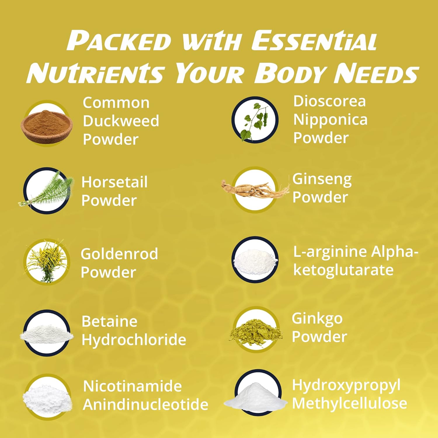 Non-GMO EnergyTune Supplements for Nutrient Absorption and Immune Support - Gluten Free, Vegetarian - Veg Capsules