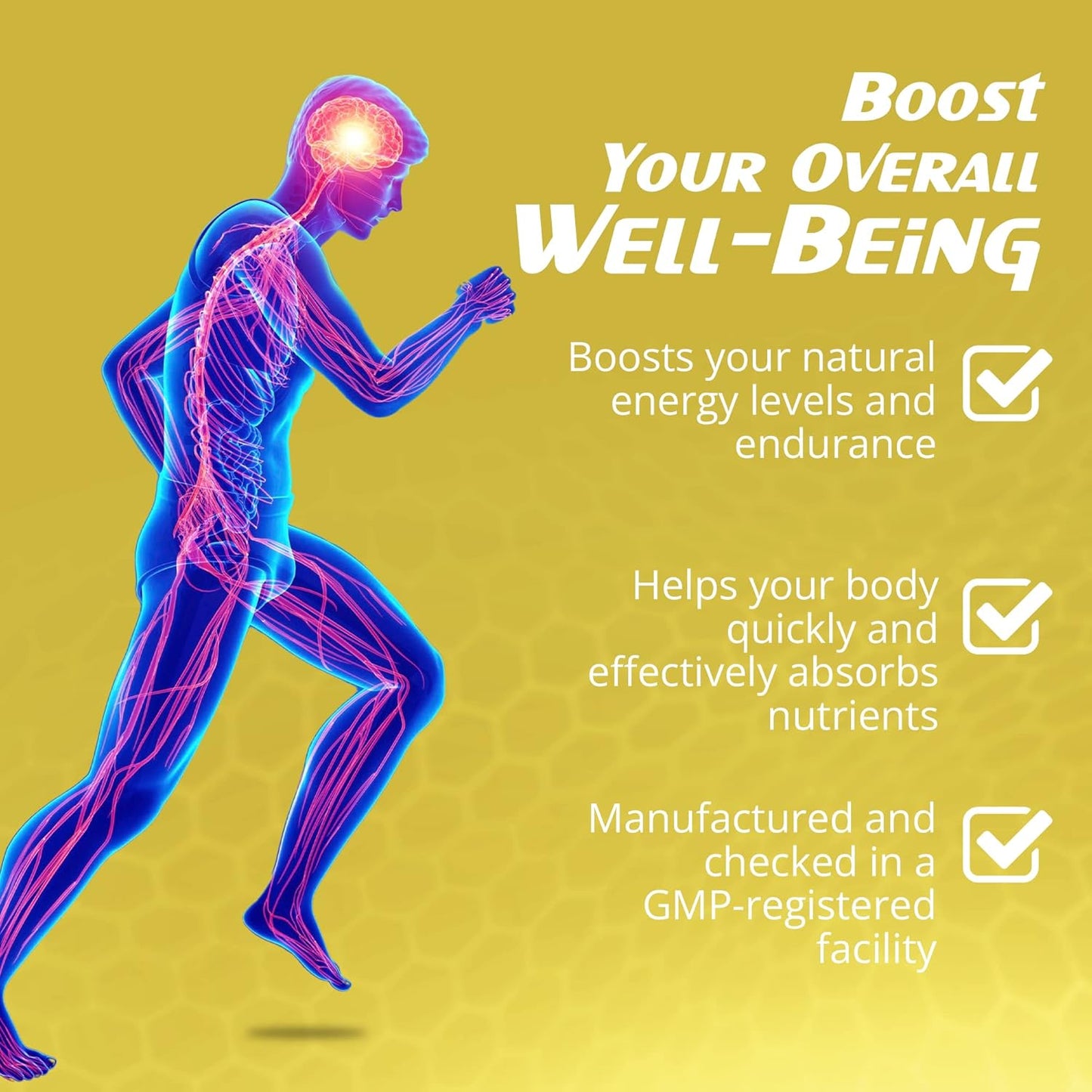 Non-GMO EnergyTune Supplements for Nutrient Absorption and Immune Support - Gluten Free, Vegetarian - Veg Capsules