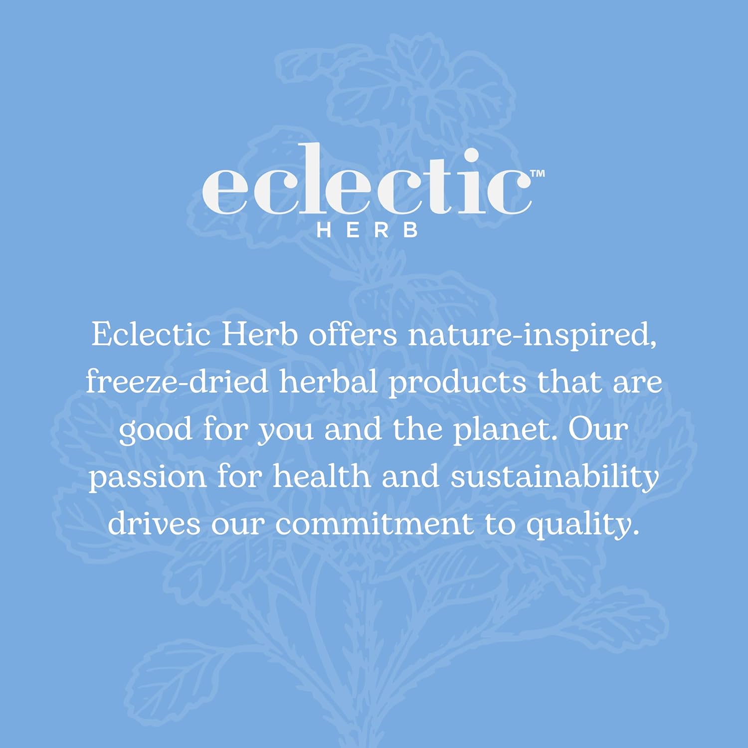 Non-GMO Freeze-Dried Nettle Root Capsules for Prostate and Urinary Tract Support - 90 Count