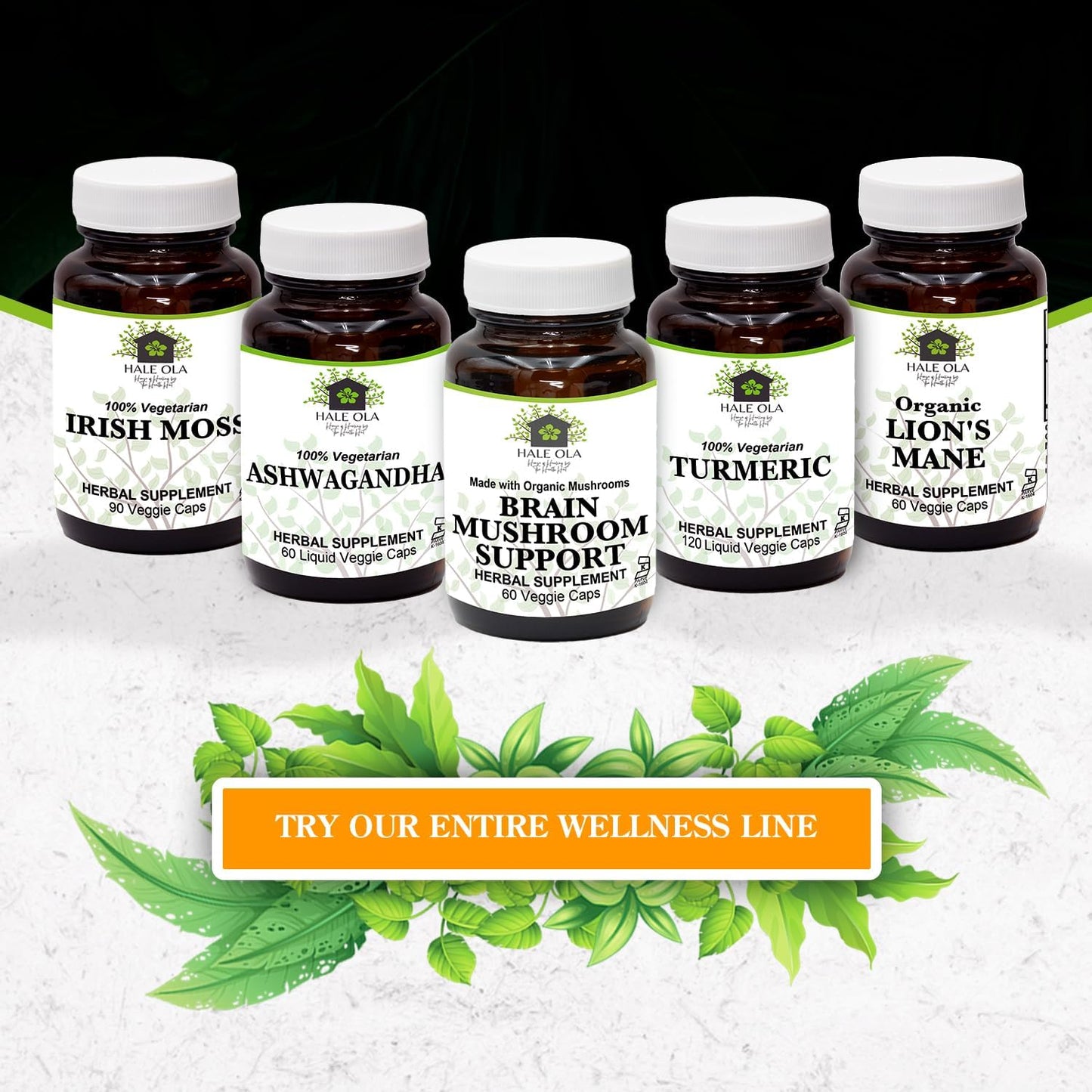 Non-GMO & Kosher Certified Brain Mushroom Supplement for Mental Clarity & Cognitive Health - Potent Blend for Energy, Focus, Memory