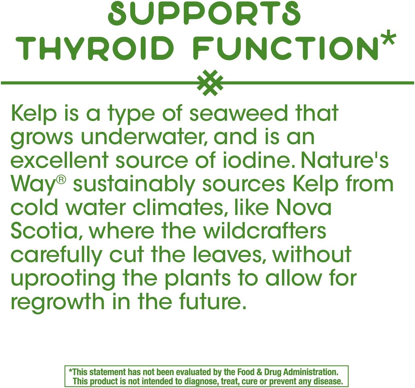 Non-GMO Project Verified Nature's Way Kelp Capsules - 600 mg, Gluten Free, Vegetarian - 100 Count